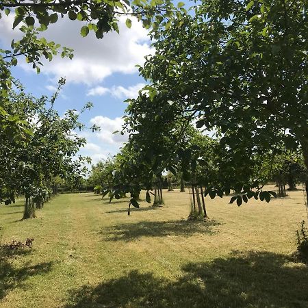 Vakantiehuizen 'T Centrum Осткапеле Екстериор снимка